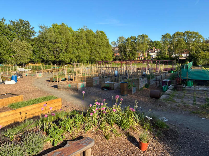 Grow 73 community garden 01